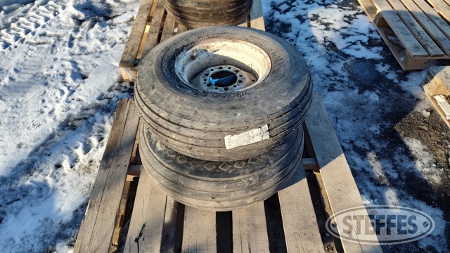 (2) 9.5L-14SL tires on 6-bolt steel rims